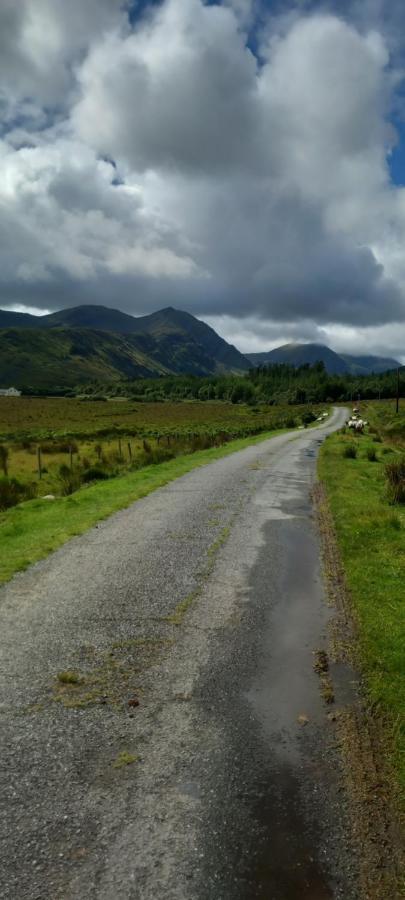 Eagle's Nest Connemara And Apartment